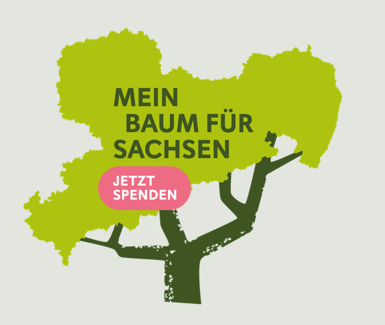 Content Bild